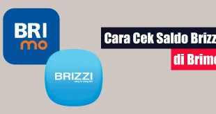 Cara Cek Saldo Brizzi di BRImo