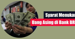 Syarat Menukar Uang Asing di Bank BRI