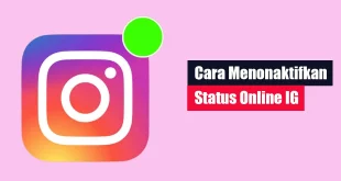 Cara Menonaktifkan Online IG