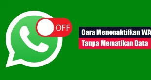 Cara Menonaktifkan WA Tanpa Mematikan Data